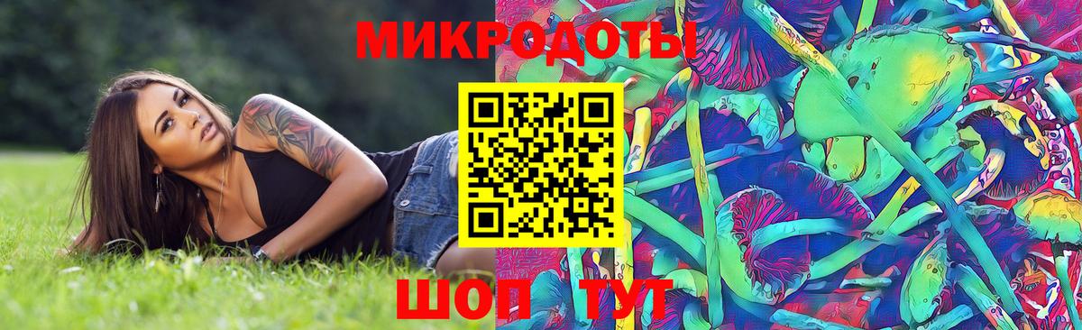 Владивосток  Галлюциногенные грибы Cubensis  Вход с VPN 